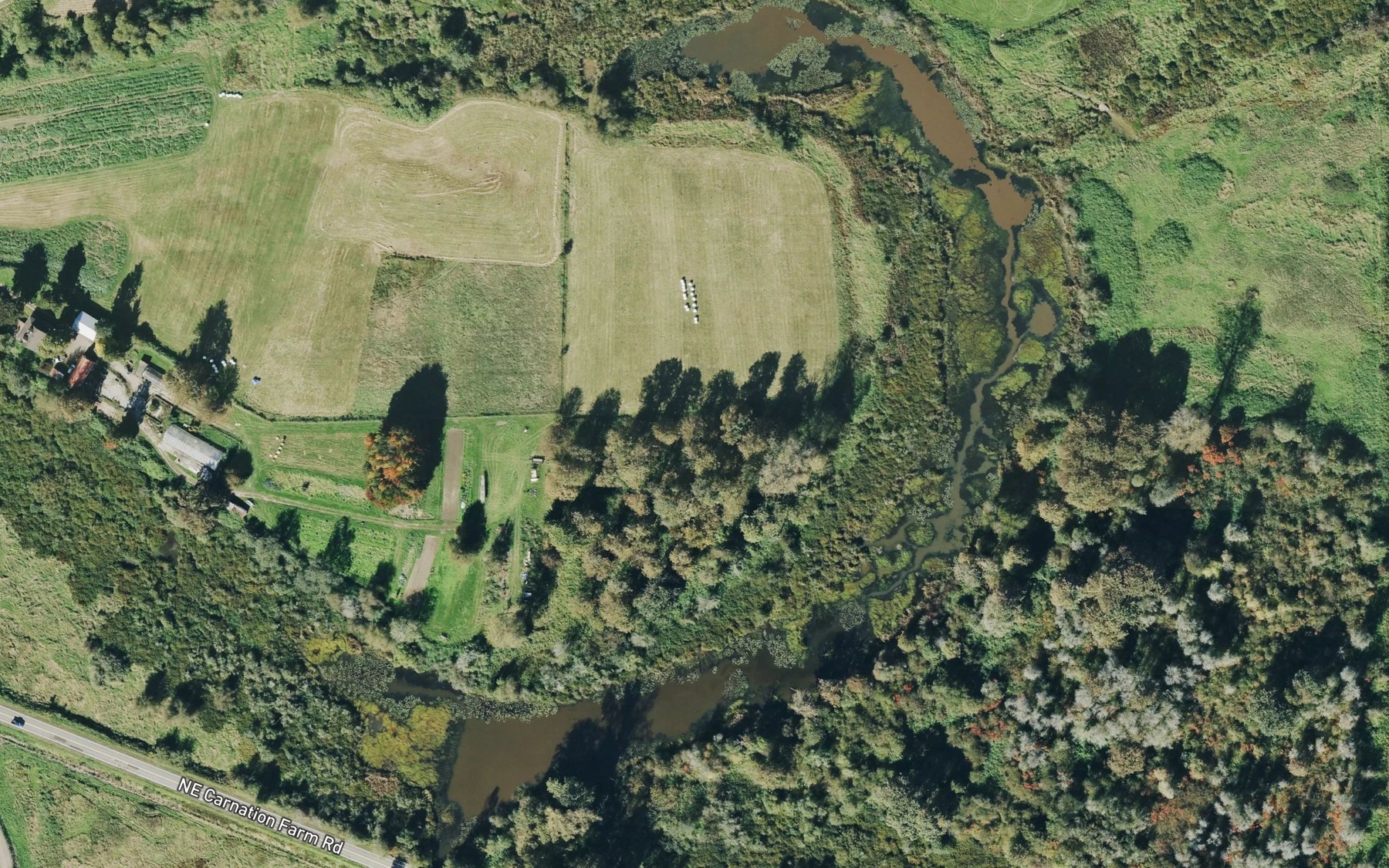 Satellite map of the Horseshoe Lake