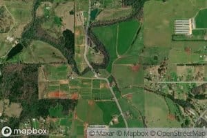 Linders Spring Branch