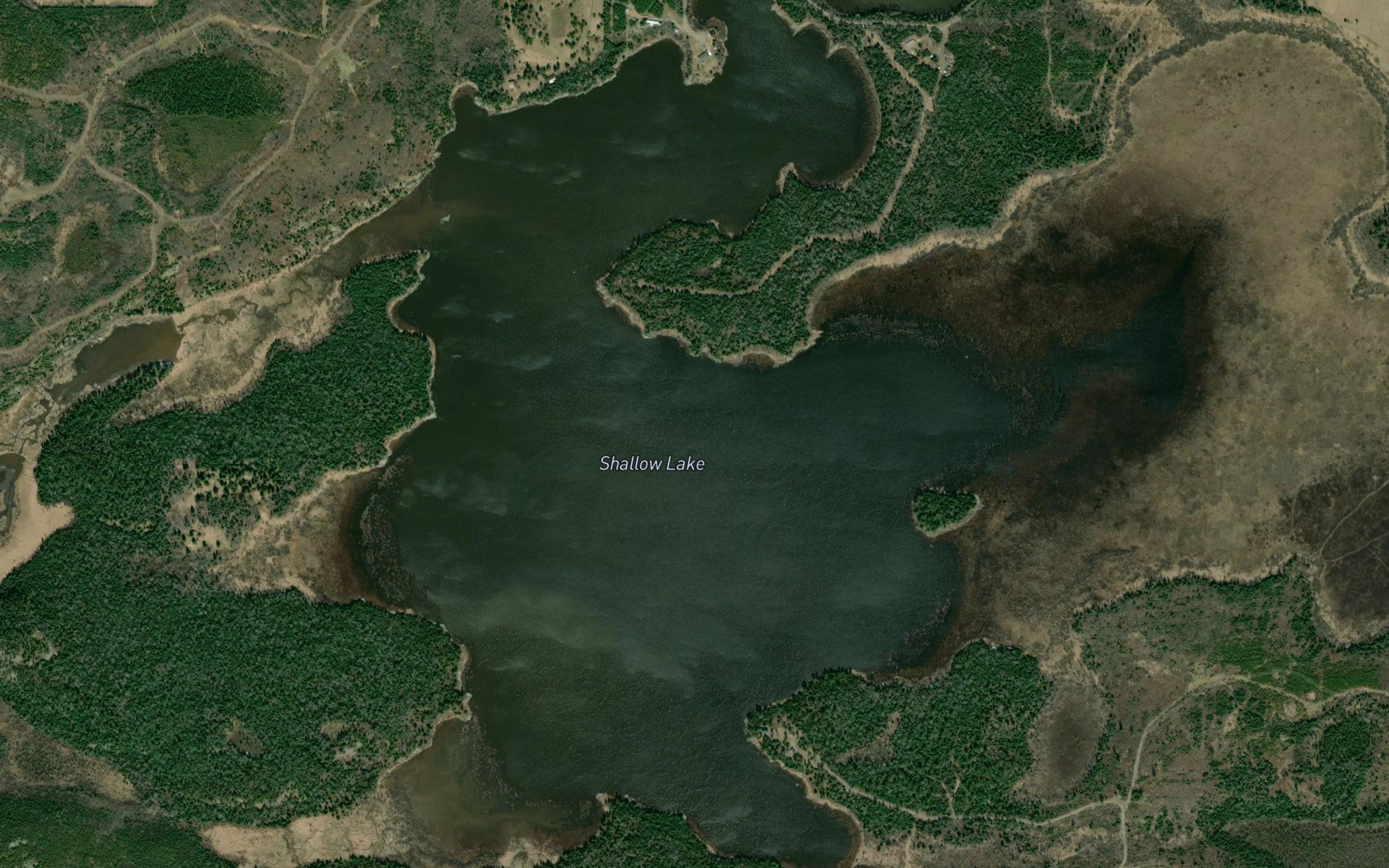 Shallow Lake