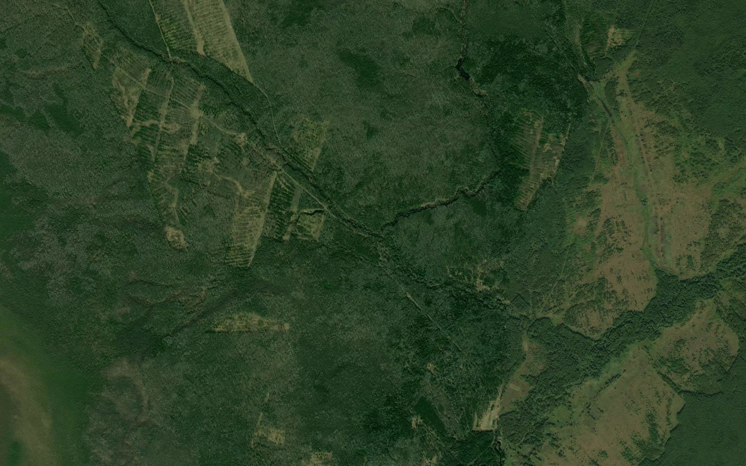 Chernushka