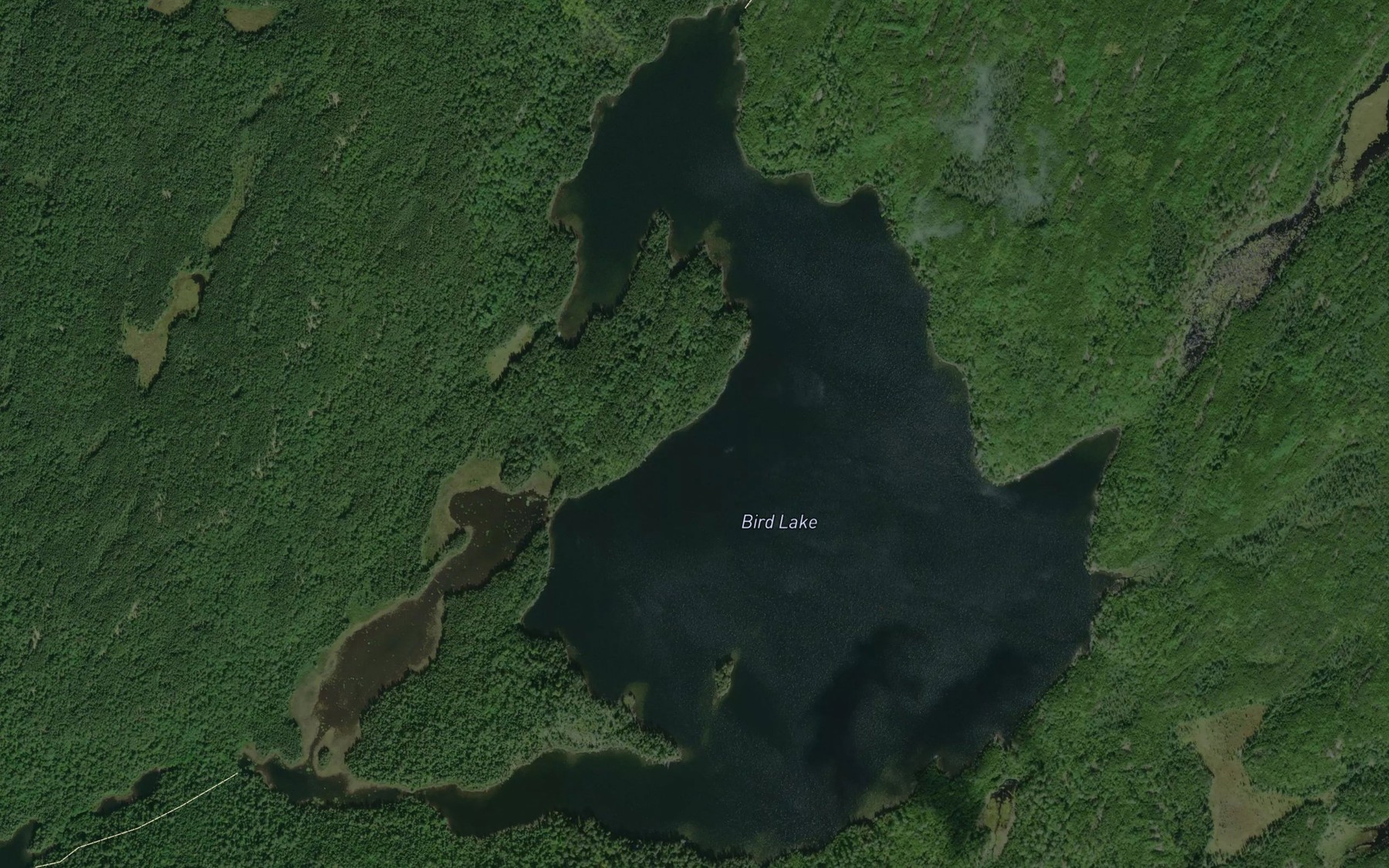 Satellite map of the Bird Lake