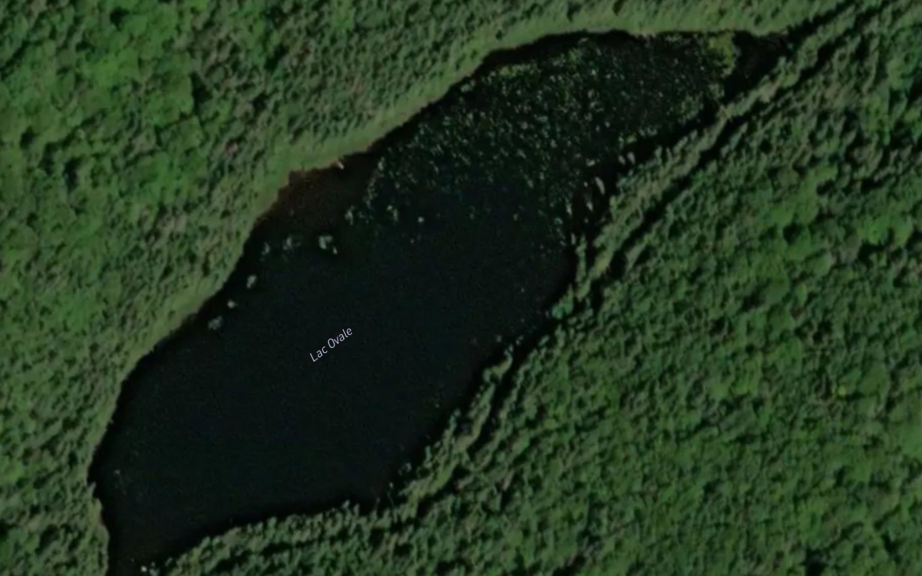 Satellite map of the Lac Ovale