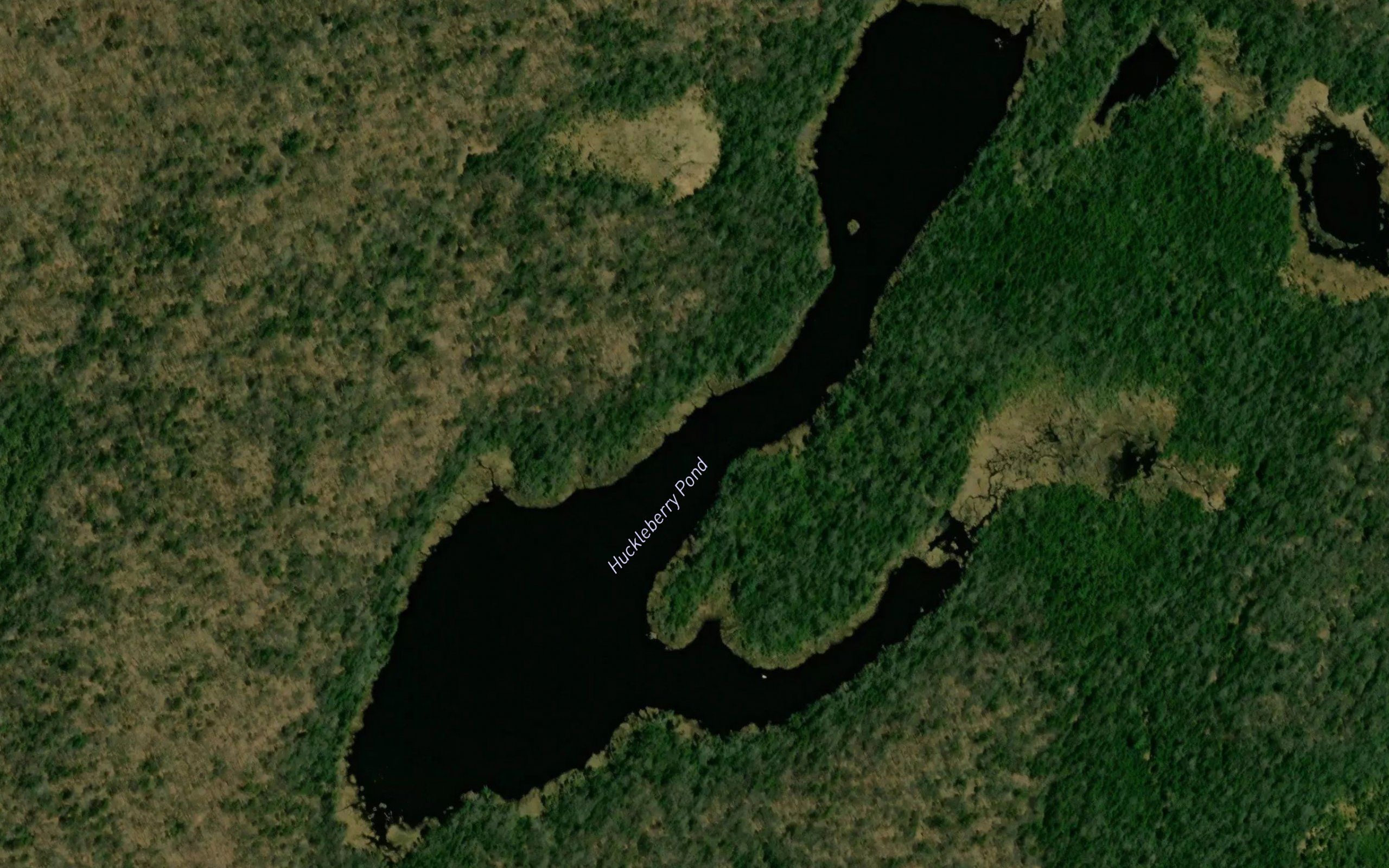 Huckleberry Pond