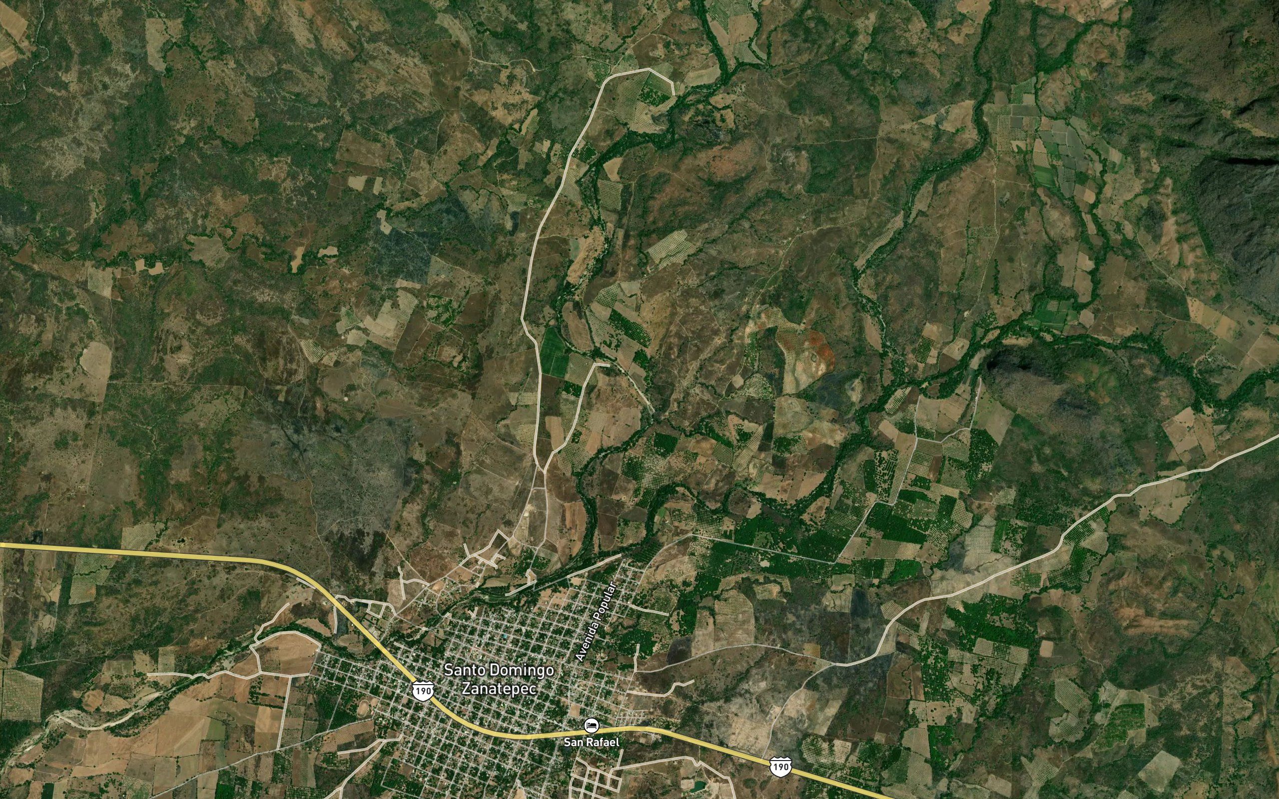 Palo Grande