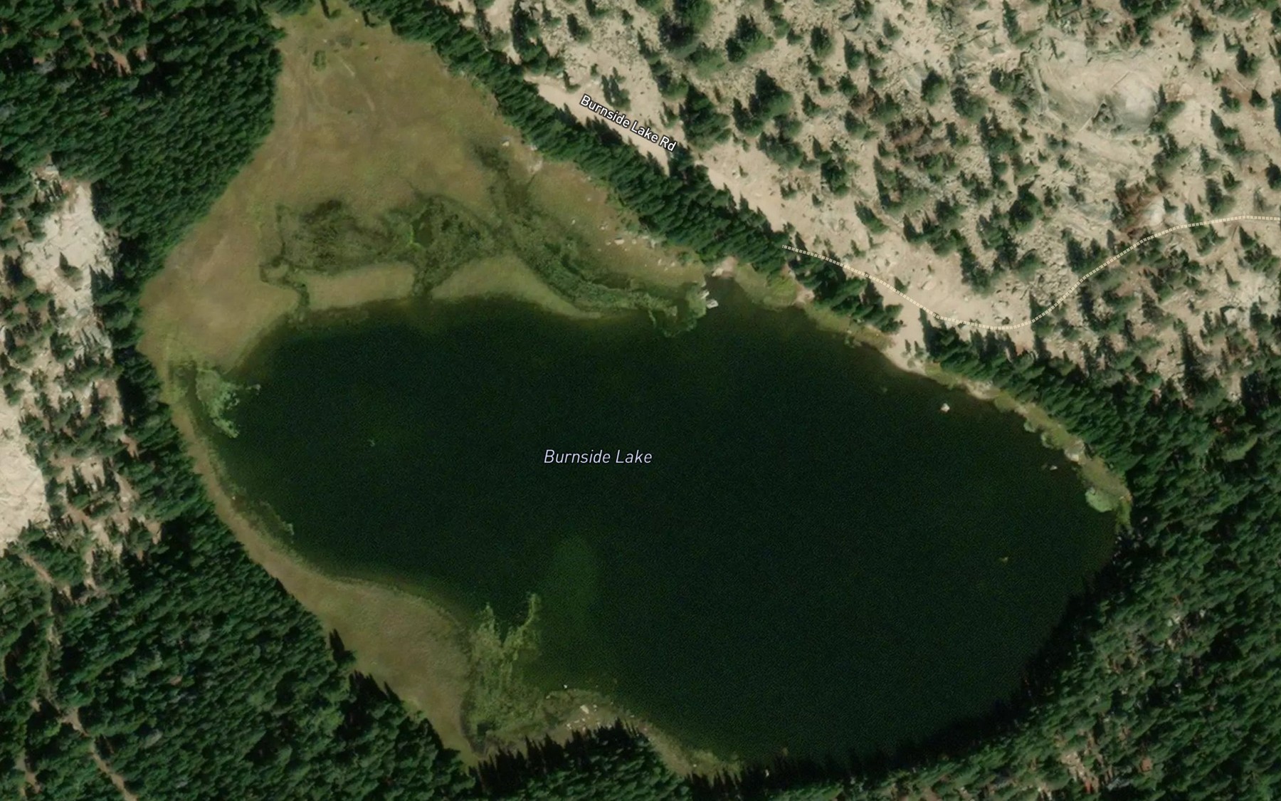 Satellite map of the Burnside Lake