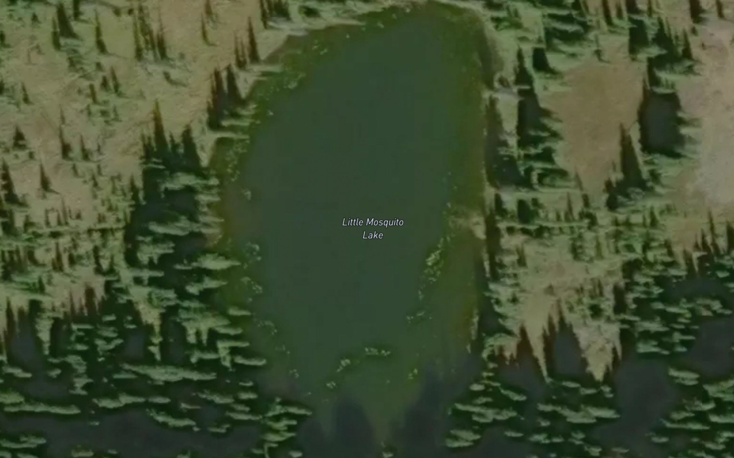 Little Mosquito Lake