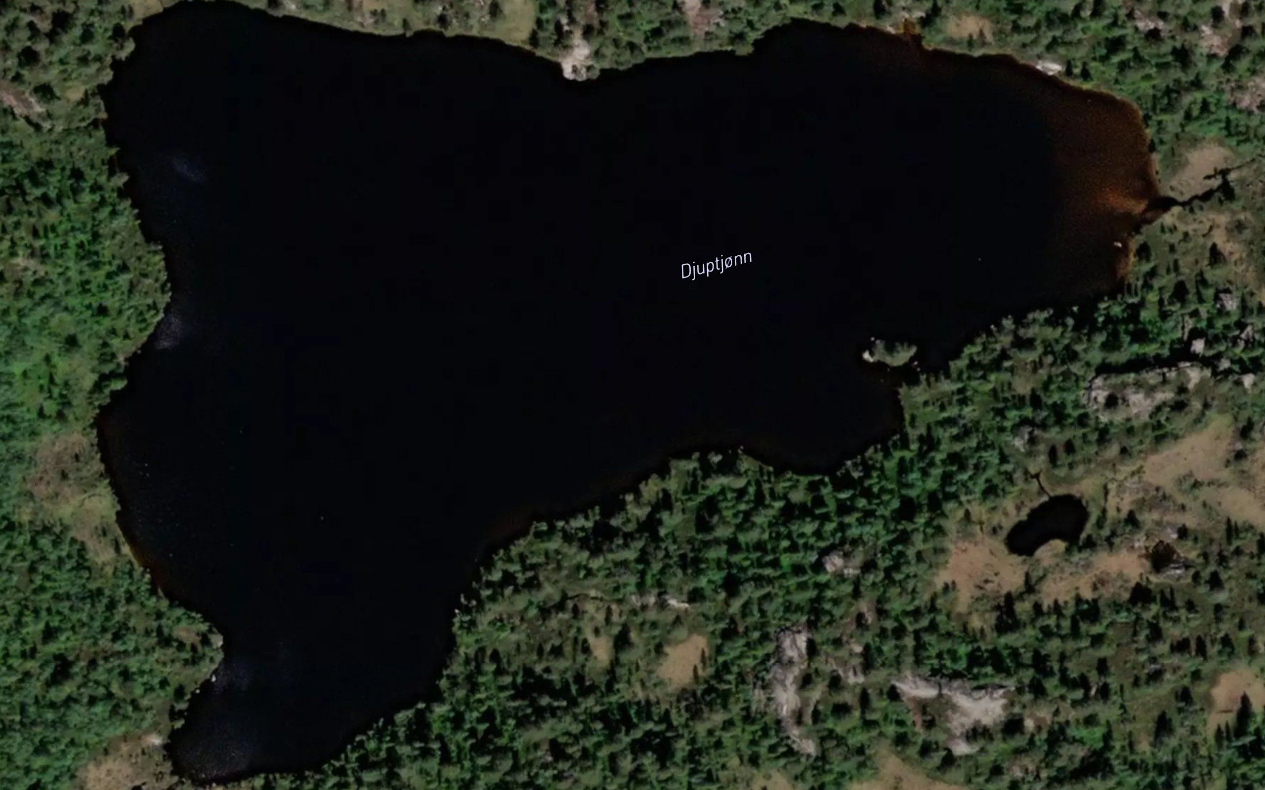 Djuptjorn