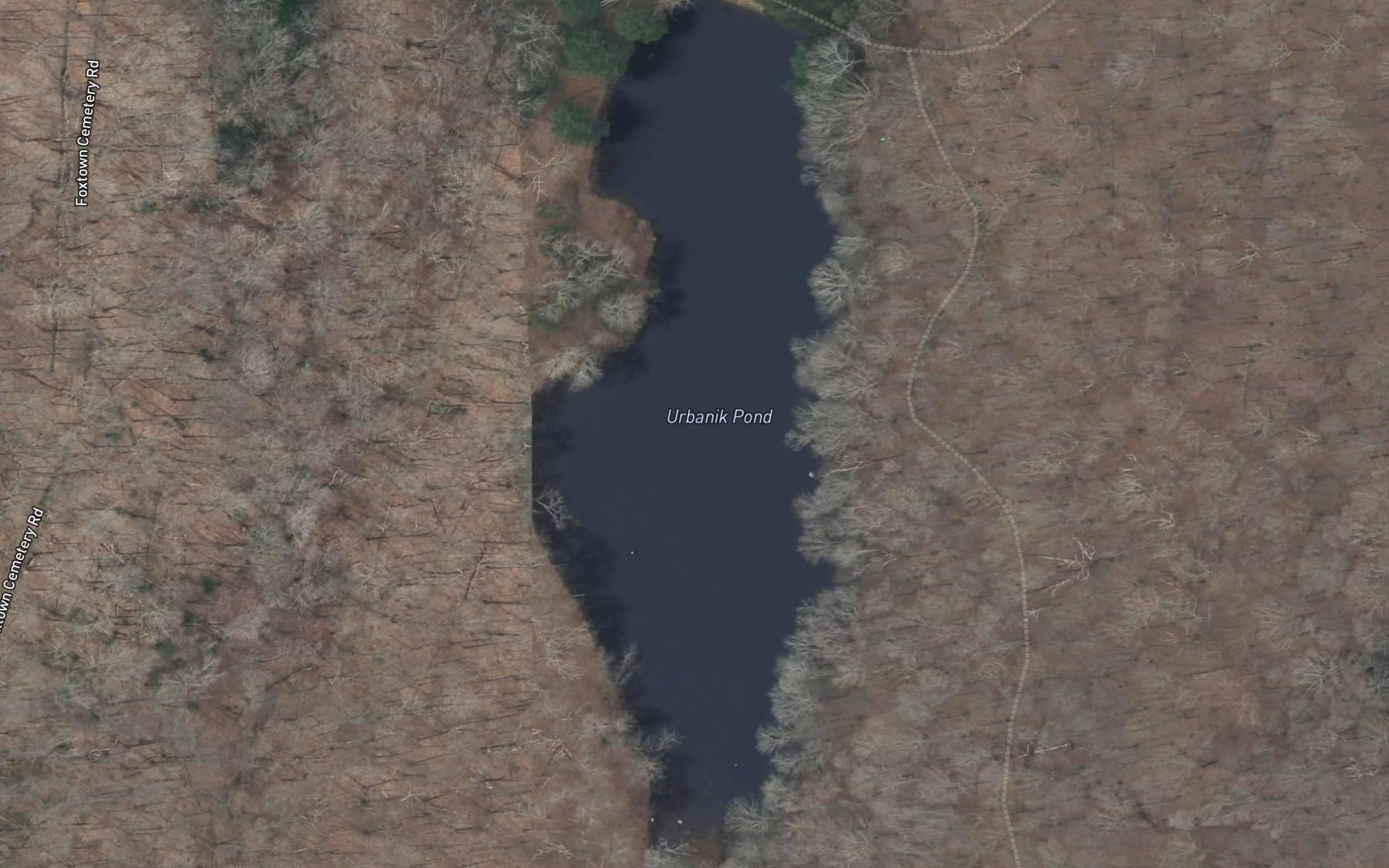 Satellite map of the Urbanik Pond
