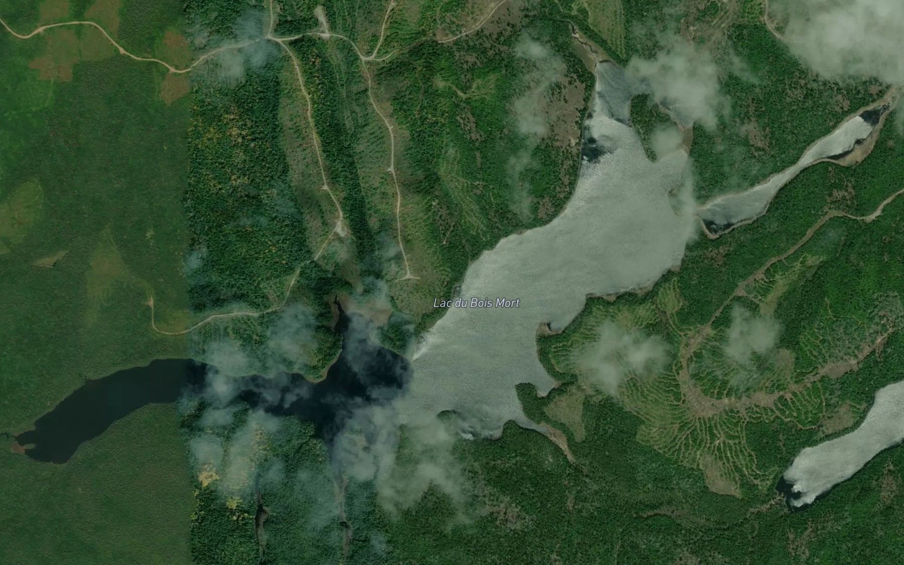 Satellite map of the Lac du Bois Mort