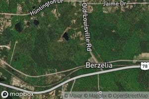 Berzelia Pond