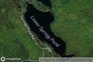 Lower Springy Pond
