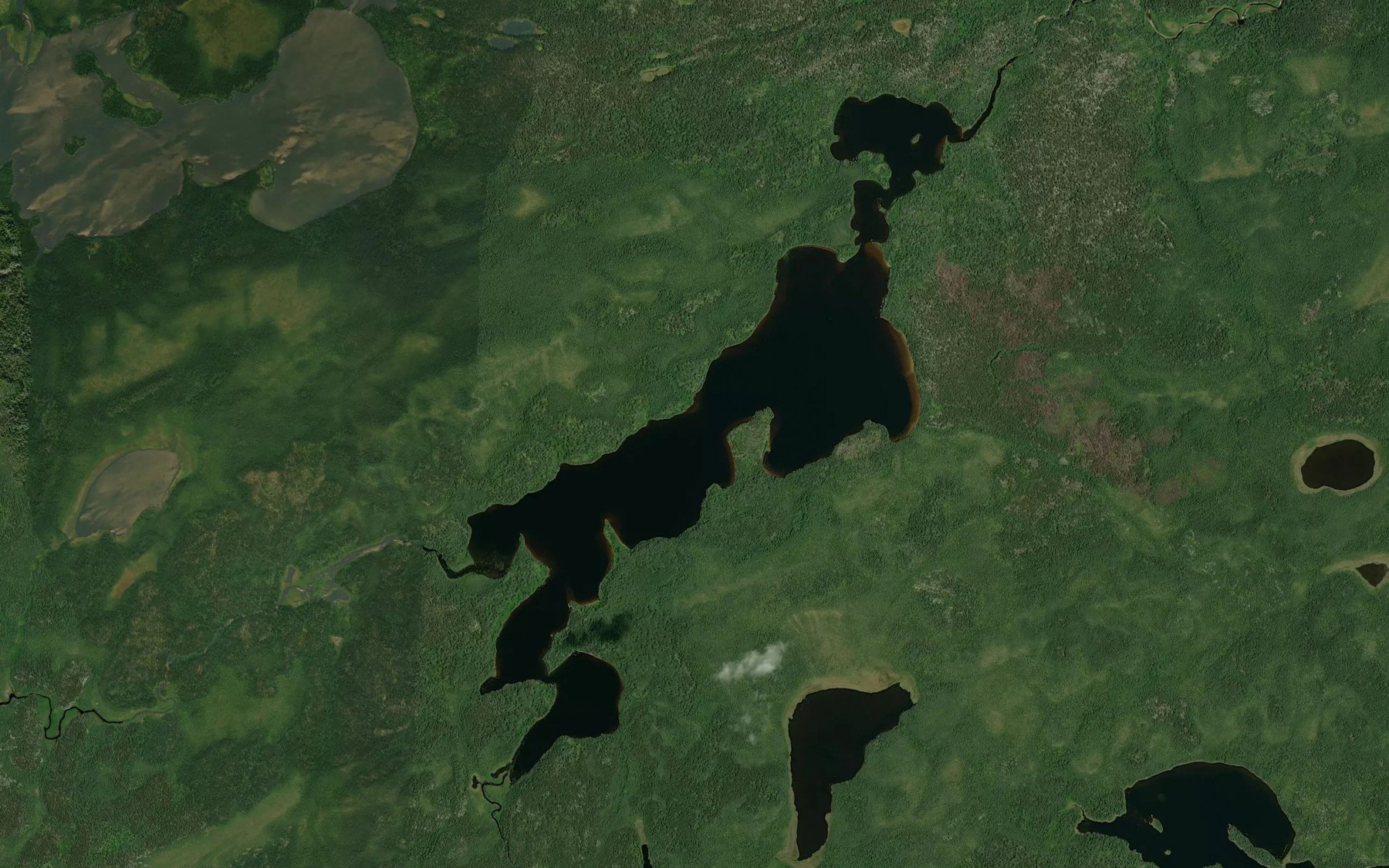 Satellite map of the Walden Lake