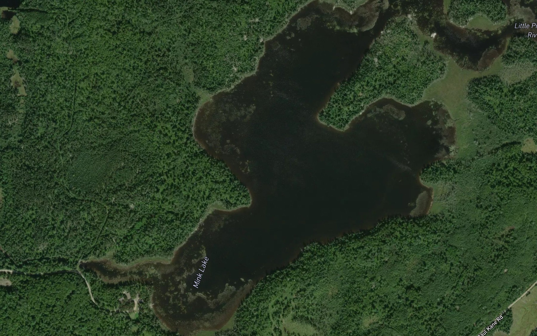 Satellite map of the Mink Lake