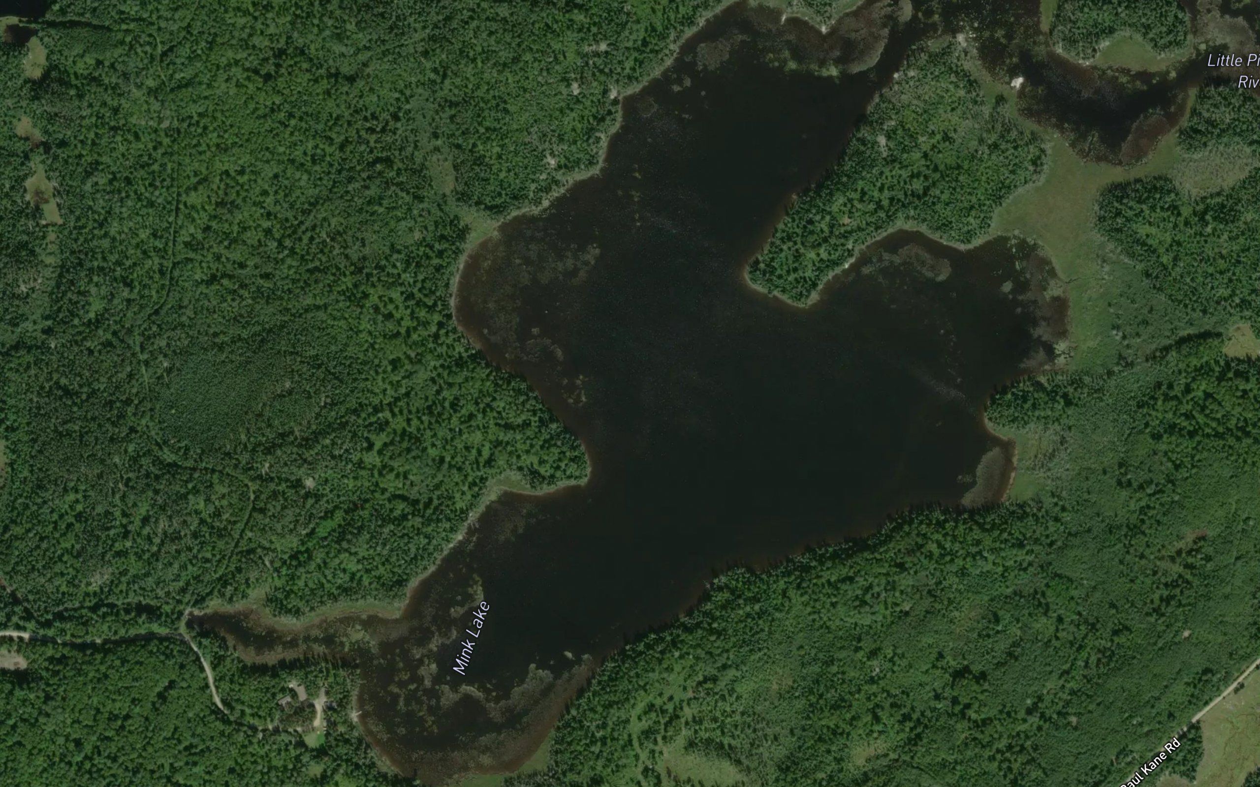 Mink Lake