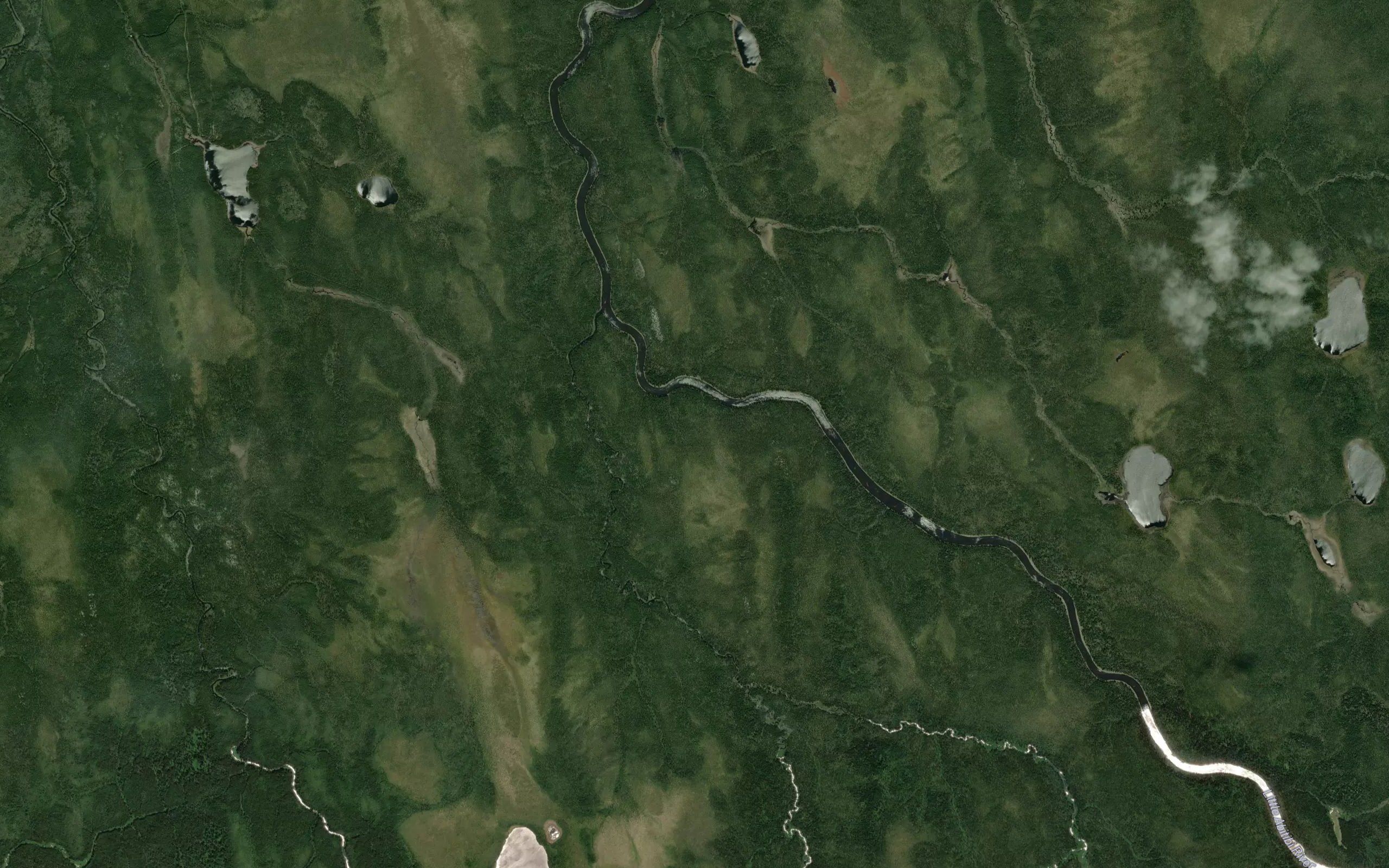 McAlpine River
