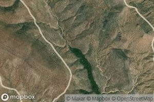 Coon Creek Spring