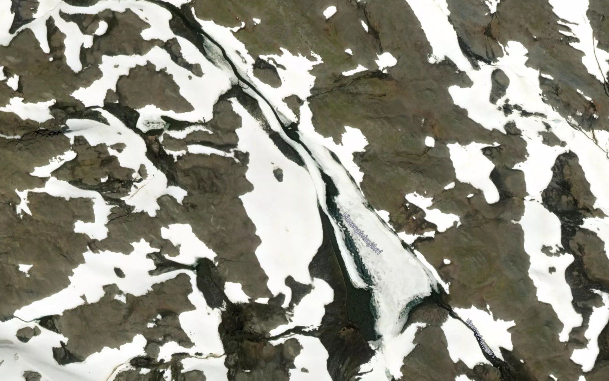 Viessogielasjavri