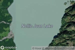 Nellie Juan Lake