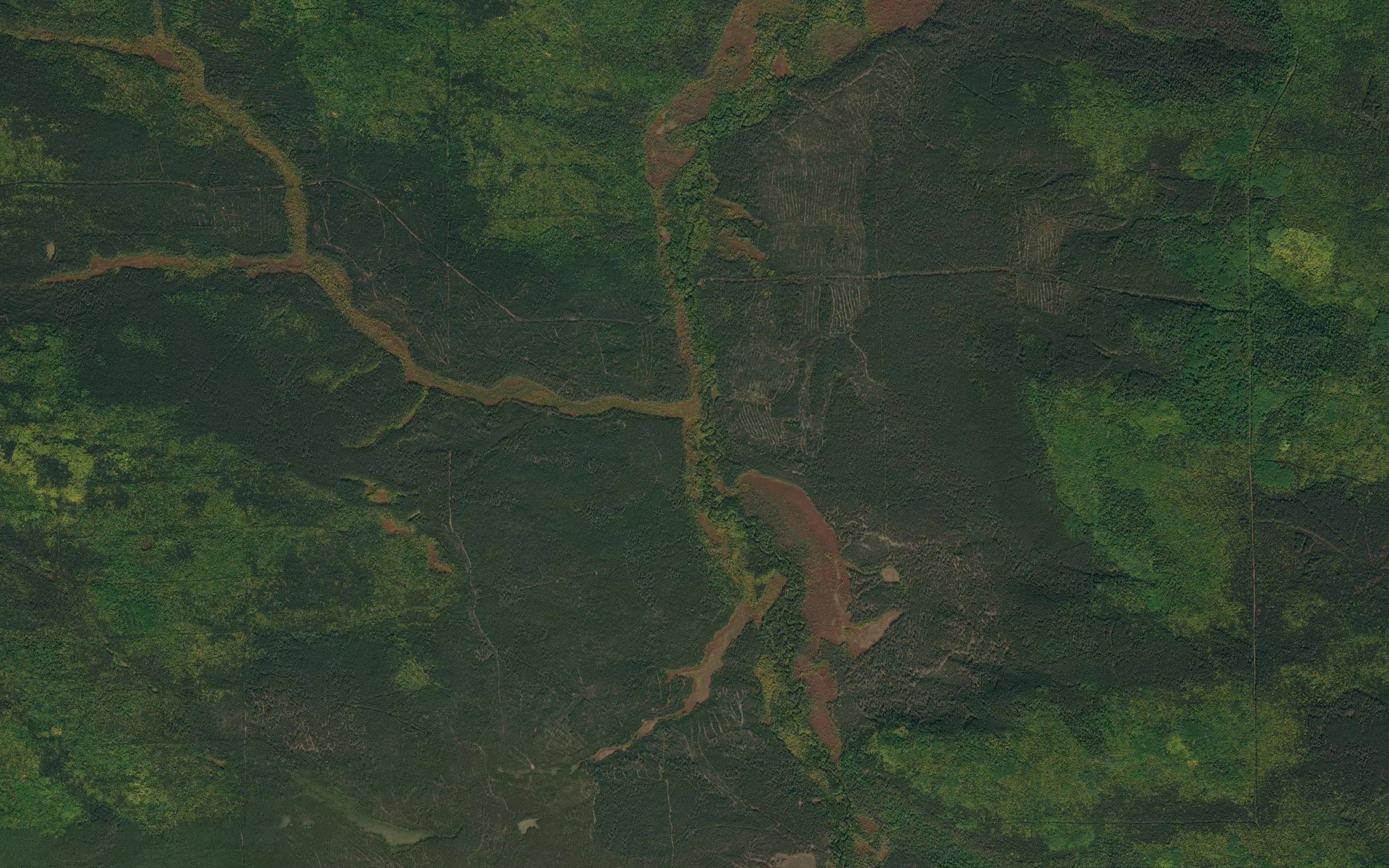 Skonov