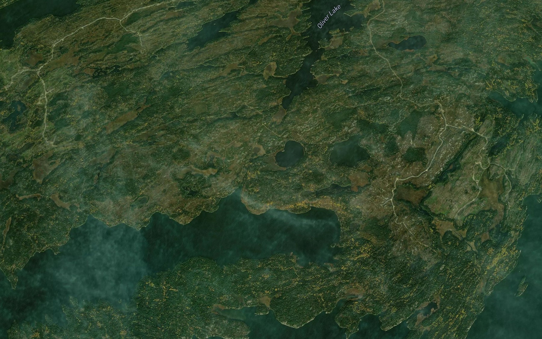 Satellite map of the Paddy Bay