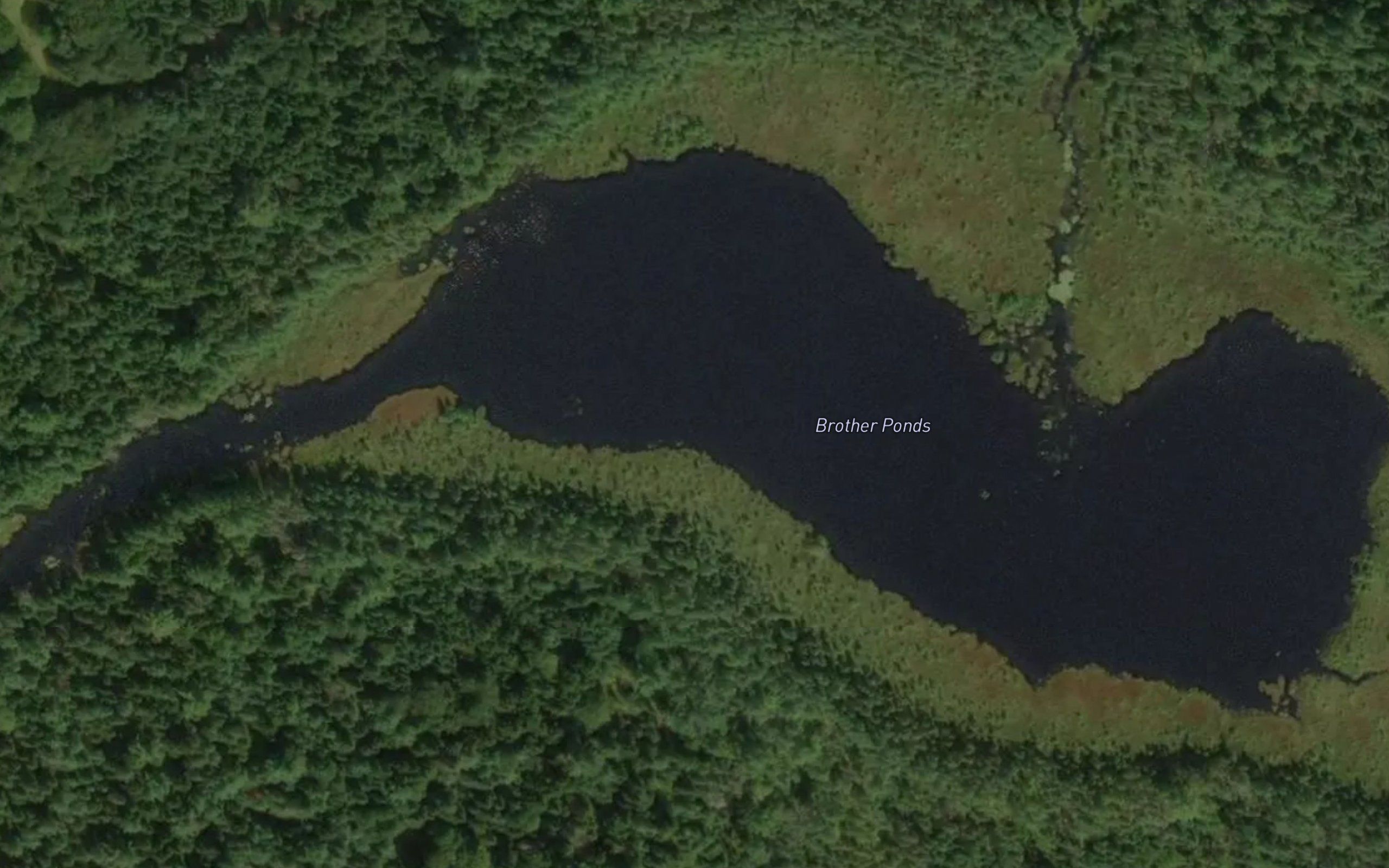 Brother Ponds