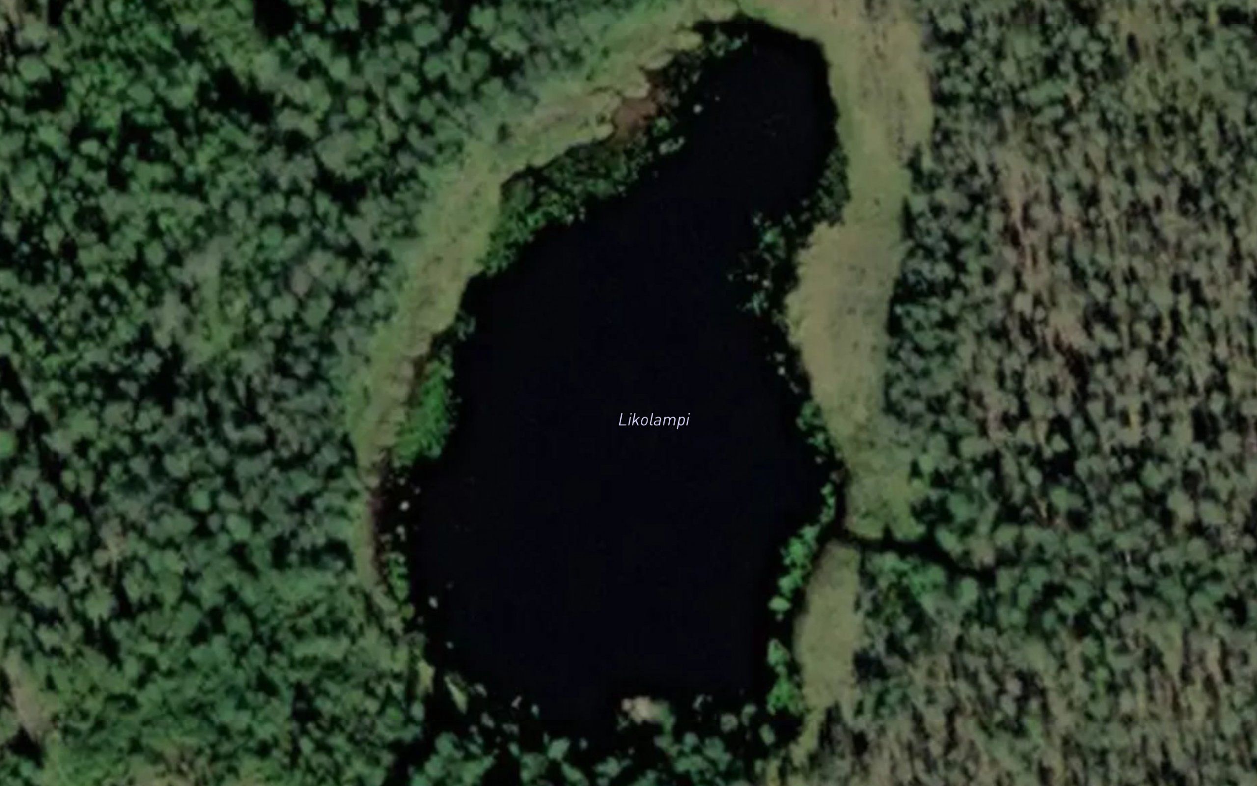 Likolampi