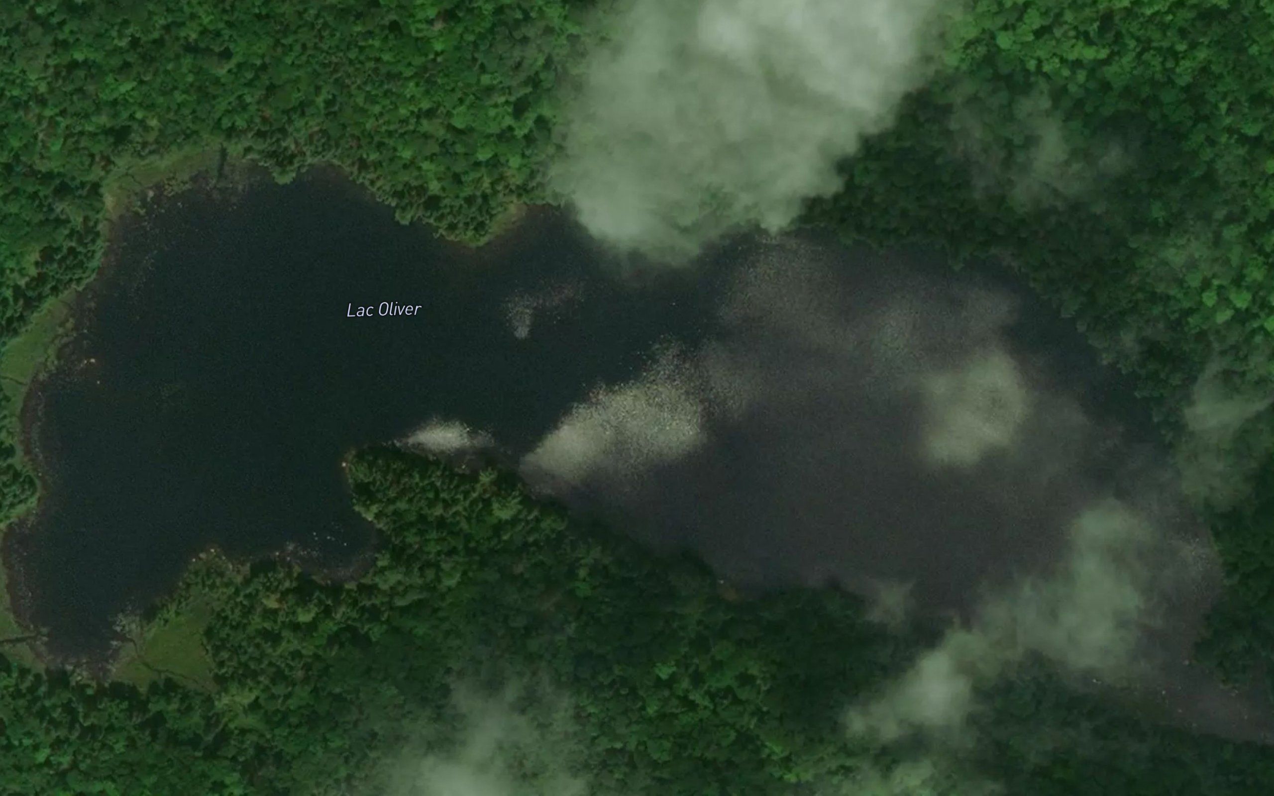 Lac Oliver