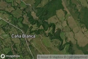 Primer Brazo del Rio David