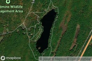Leadmine Pond