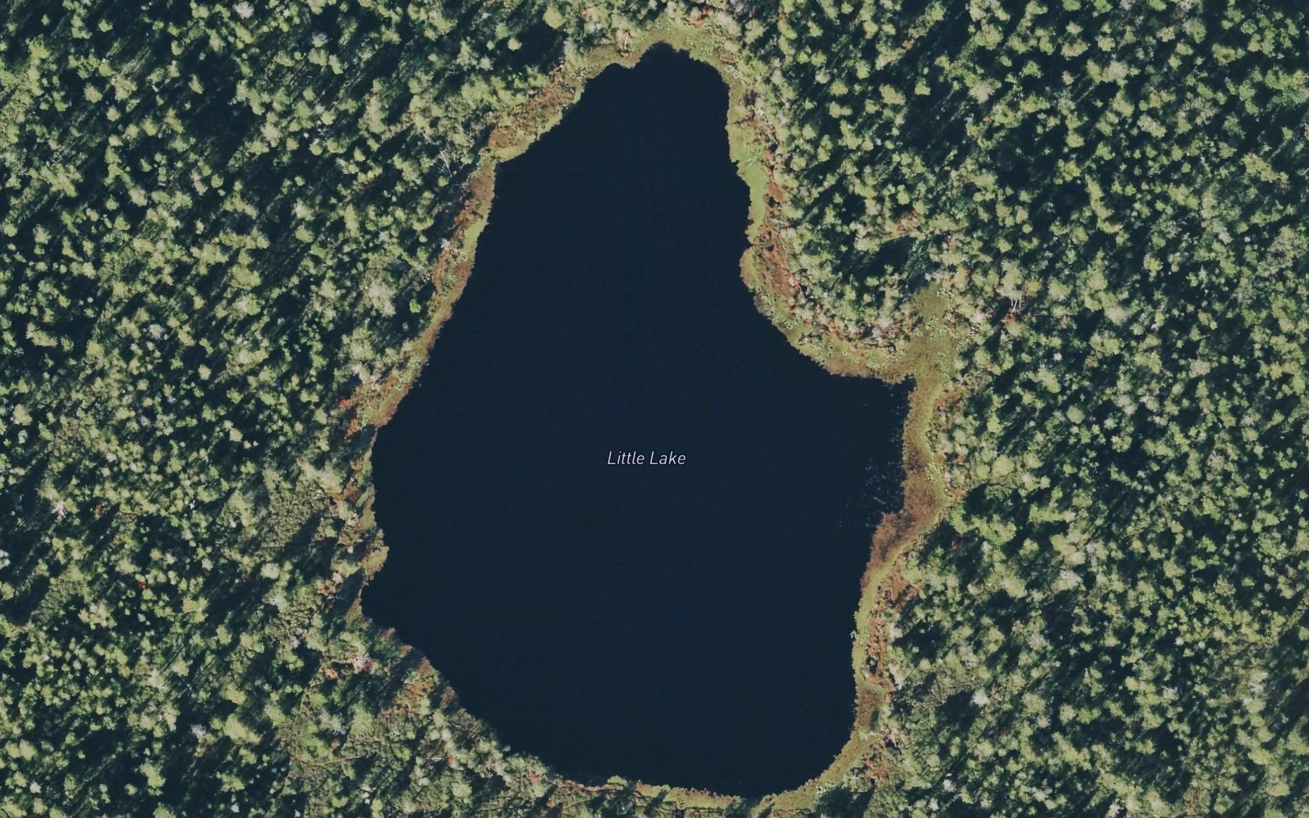 Little Lake