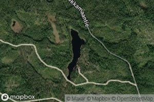 Haukilammi