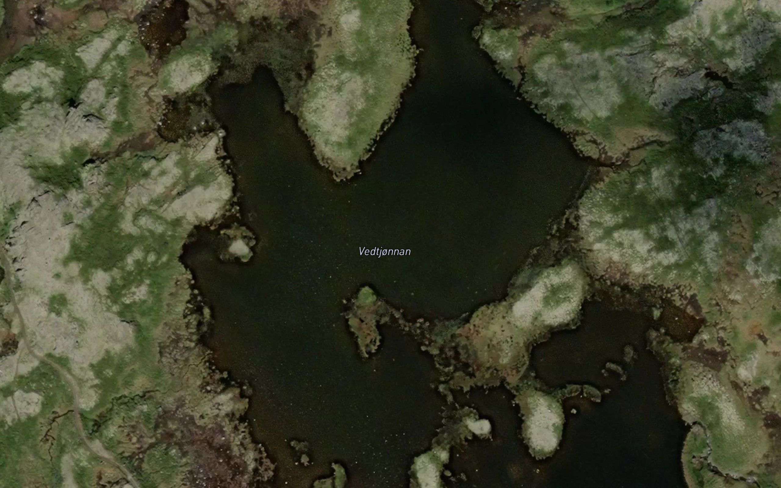 Vedtjornan