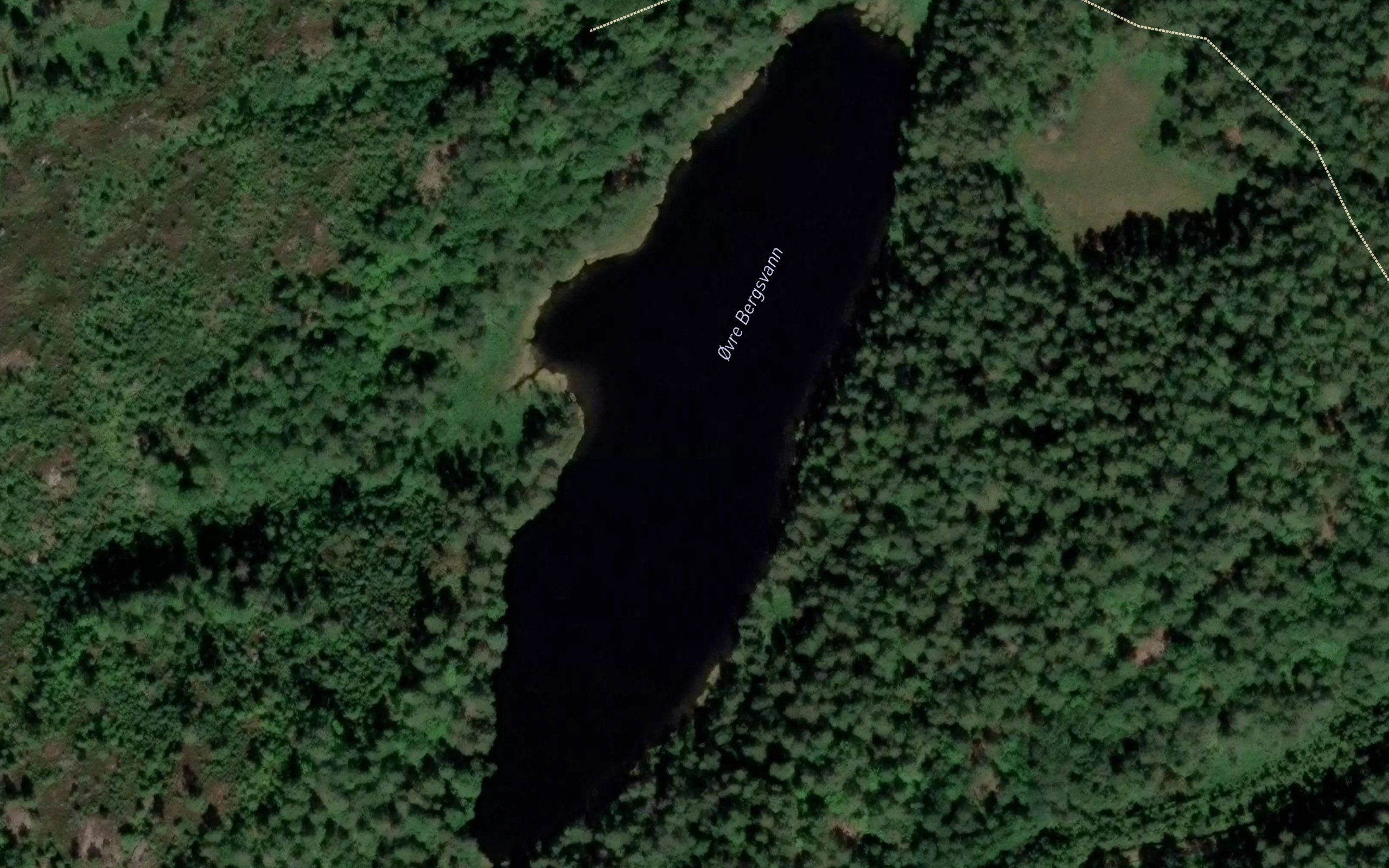 Bergsvann