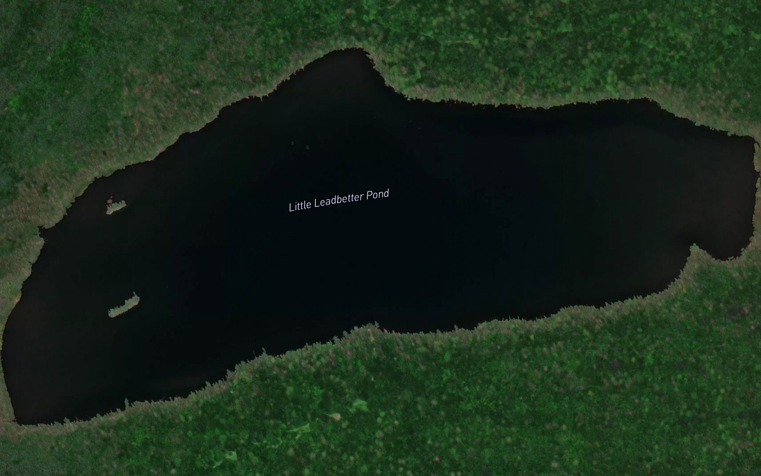 Little Leadbetter Pond