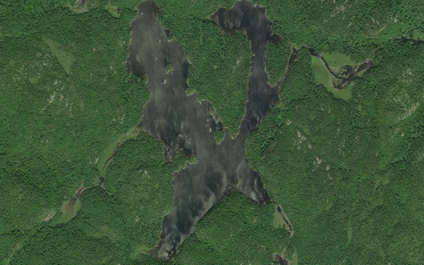 Satellite map of the Boyer Lake