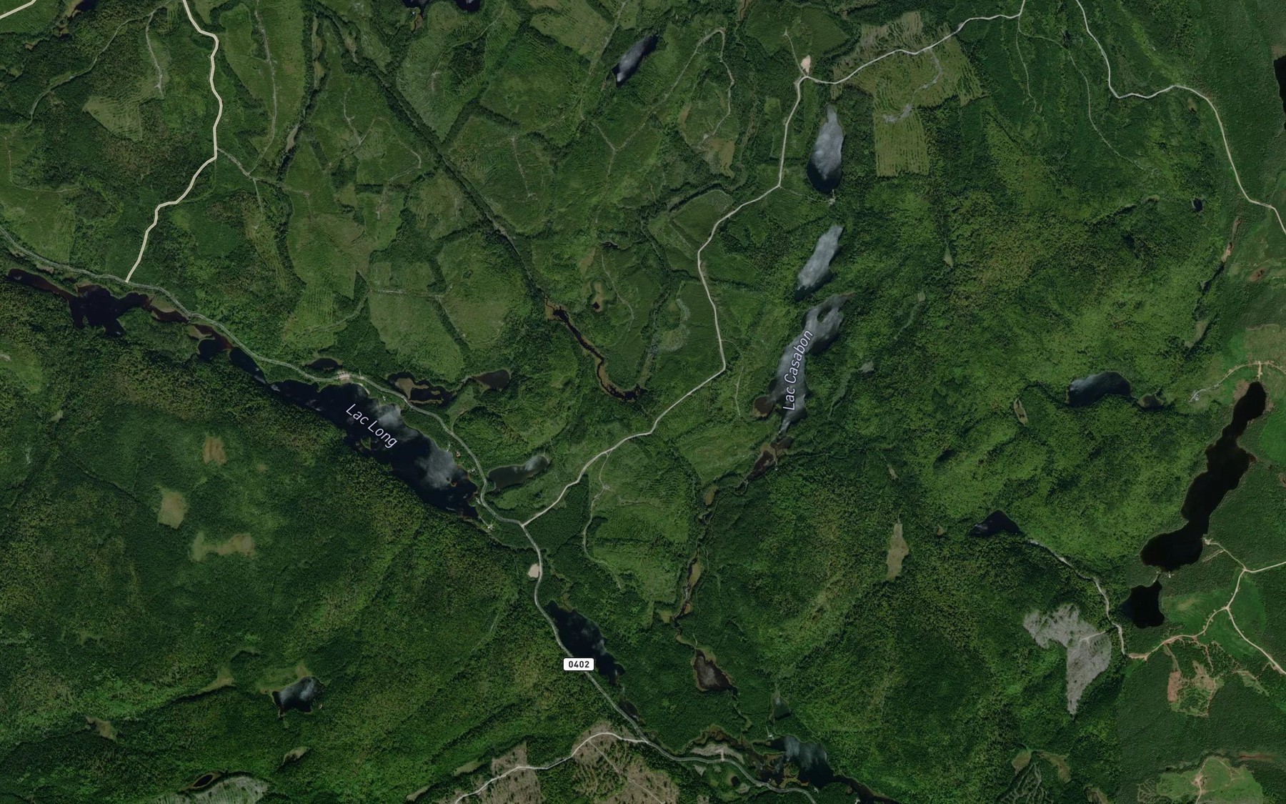Satellite map of the Lac Mario
