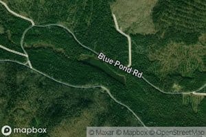Blue Pond