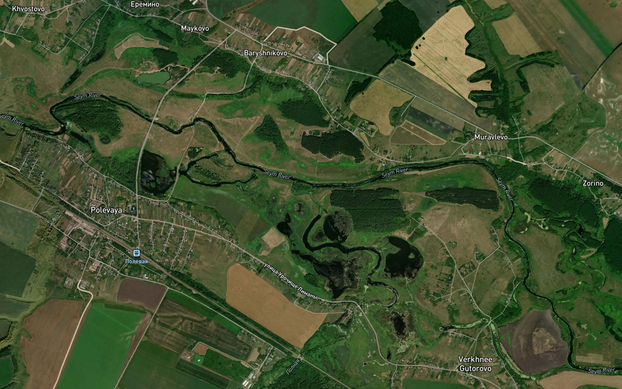 Polnaya