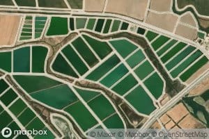 Sherkat-e Mahi-ye Karun