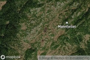 Mannfjelltjorna
