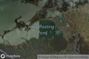 Hog Rooting Pond