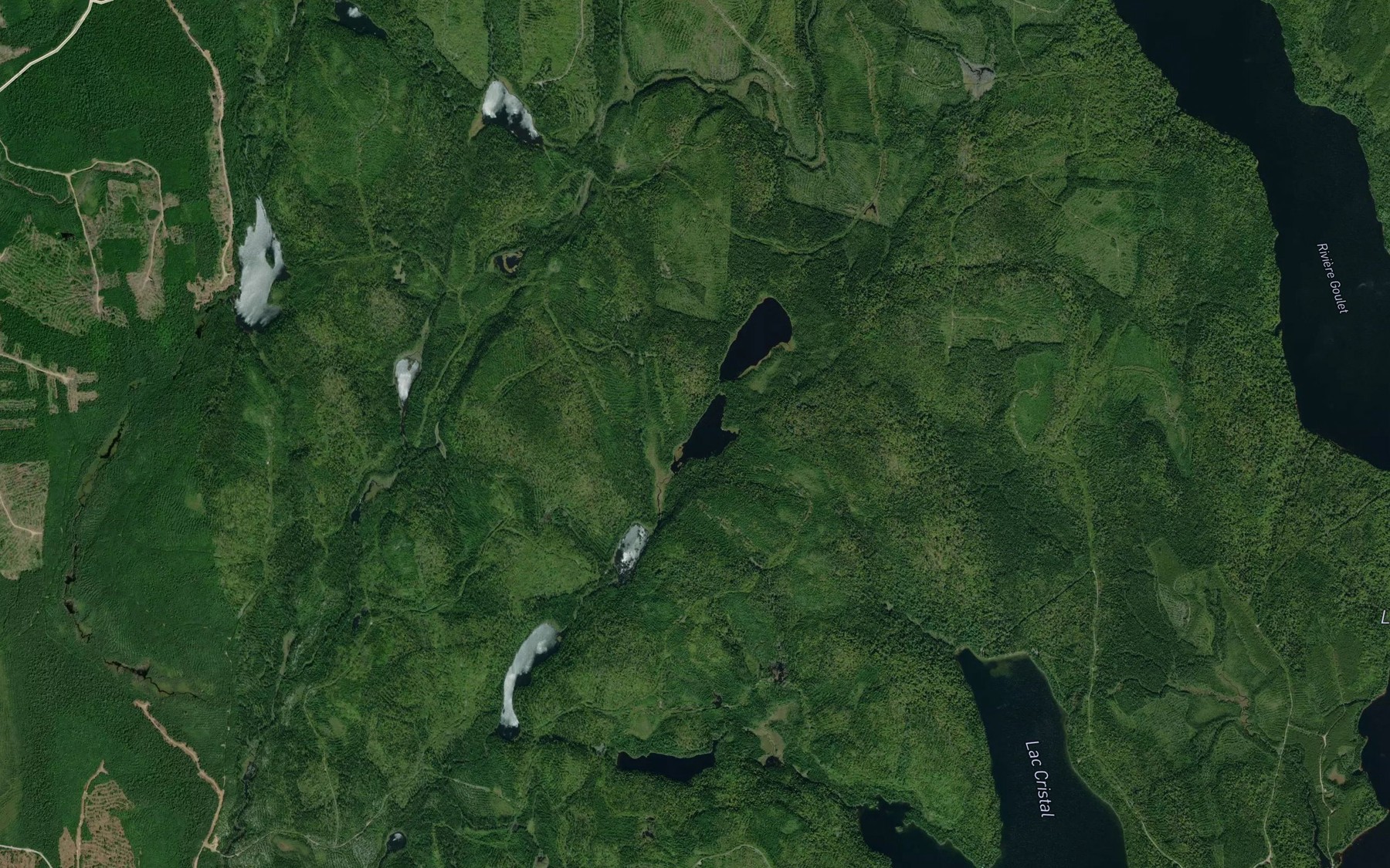 Satellite map of the Lac Raymond
