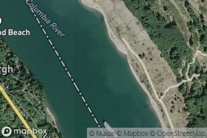 Cottonwood Island Turn