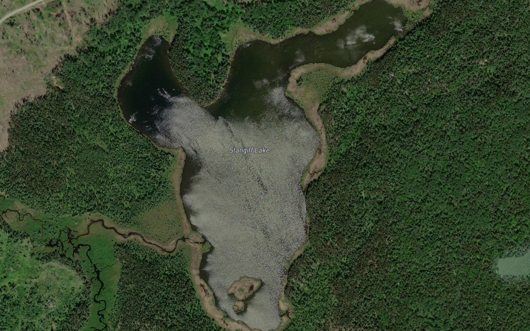 Satellite map of the Stangiff Lake