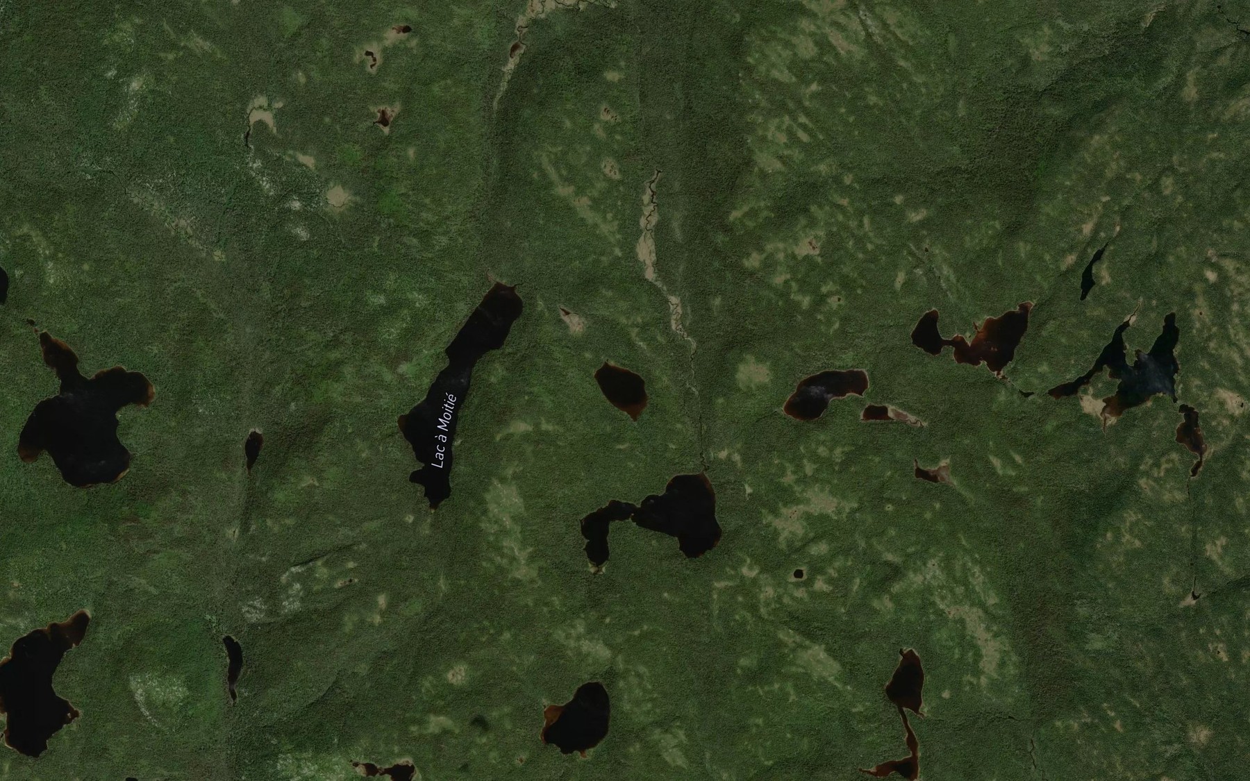 Satellite map of the Lac des Bonnes Herbes