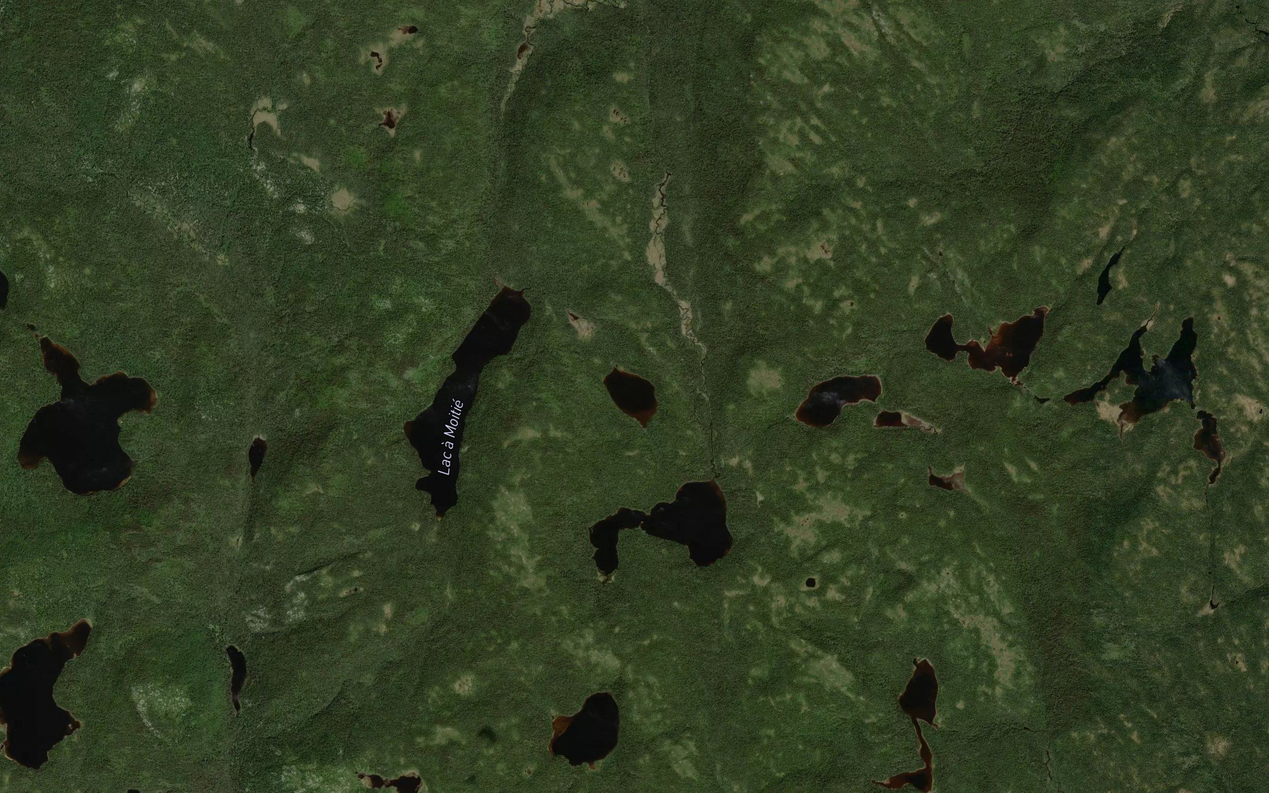 Lac des Bonnes Herbes