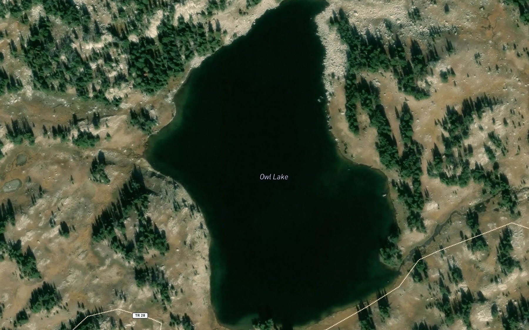 Satellite map of the Owl Lake