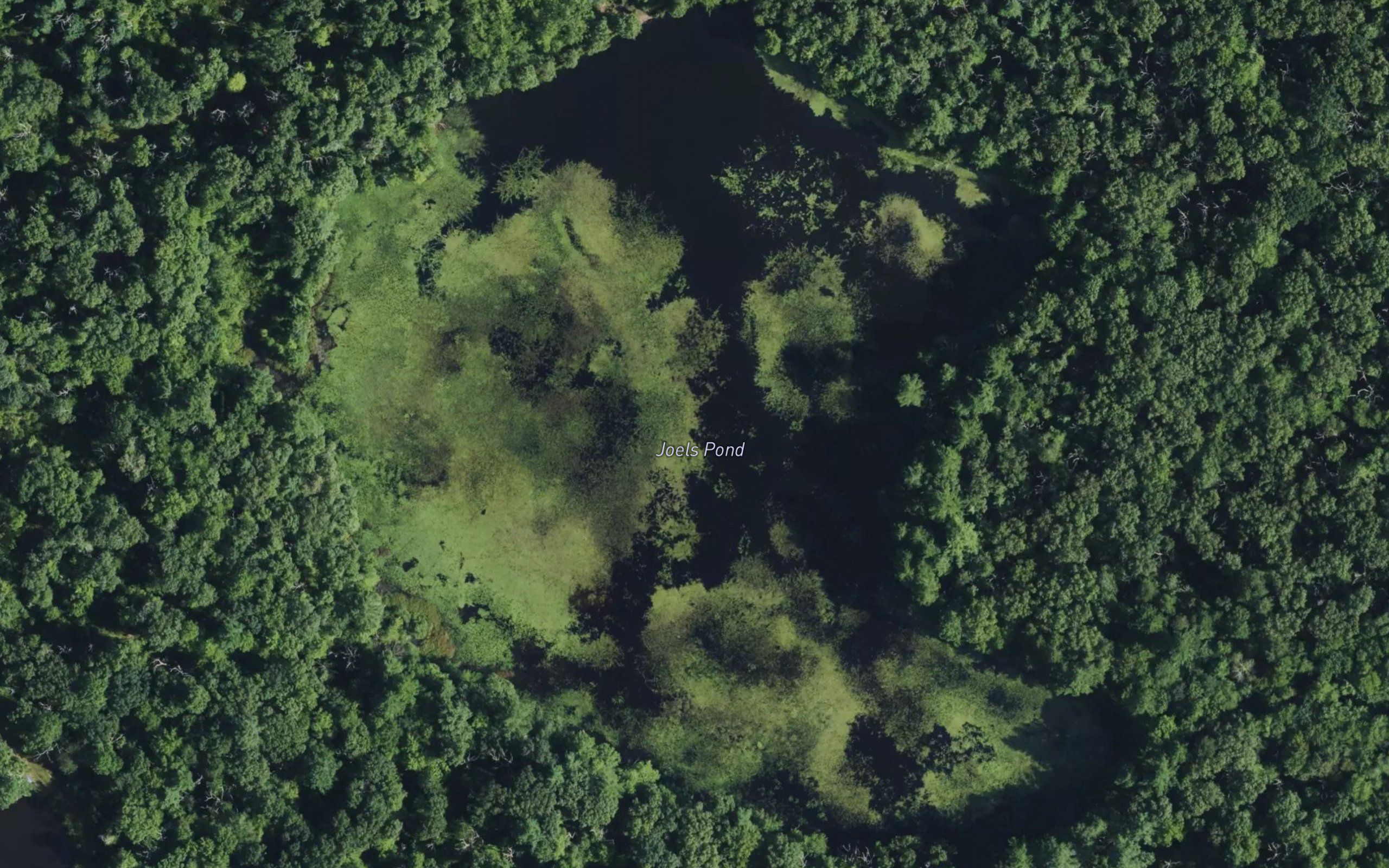 Joels Pond