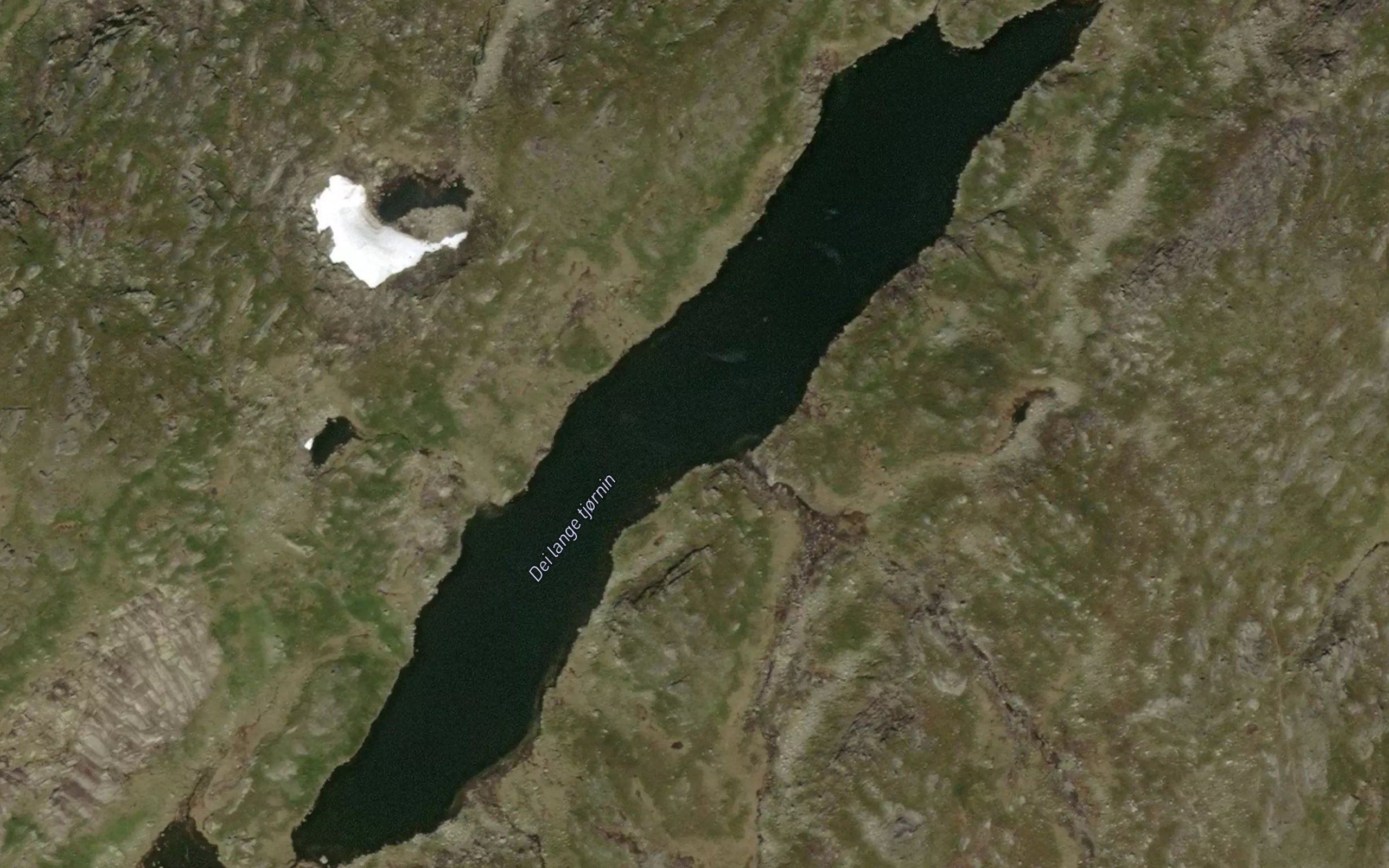 Den lange tjonni