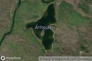 Ardnejavri